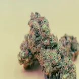 cannabis supply420