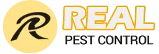 Silverfish Control Adelaide