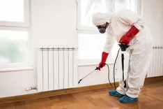 Bed Bug Control Brisbane