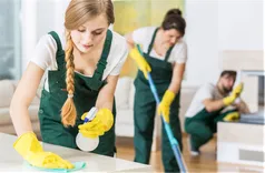 House Cleaning Langley