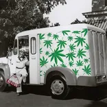 Hempyz Express - Weed Delivery Service