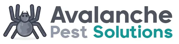 Avalanche Pest Solutions Renton WA