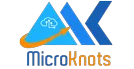 Microknots IT Solutions And Consulting