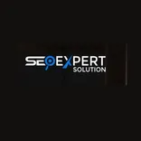 Seo Expert Solution