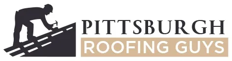 Pittsburgh Roofing Guys