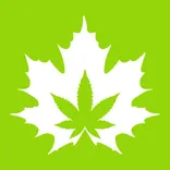 The House Of Cannabis