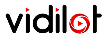 Vidilot LLC