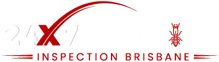 247 Termite Inspection Brisbane