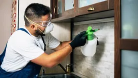 Ses Pest Control Brisbane