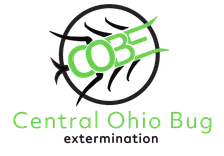 Bug Extermination