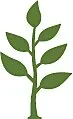 Organic Cannabis in Kelowna - Canna Healing Company