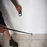 Gold Termite Removal Experts