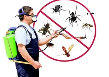 Pest Control Perth