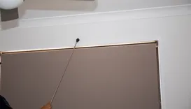 Cowell Beach Termite Removal Expert