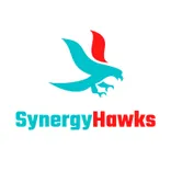 Synergy Hawks