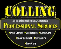 Colling Professional Services