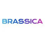 Brassica