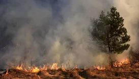 All American Smoke Damage Experts