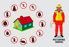 Richest City Termite Removal Experts