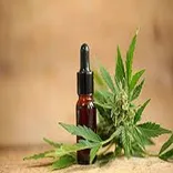 Organic CBD Oral Drops - Full Spectrum CBD Mouth Drops