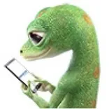 Geico Auto Insurance
