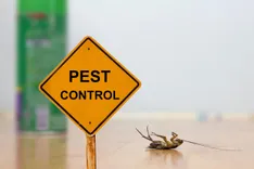 OZ Pest Control Sydney