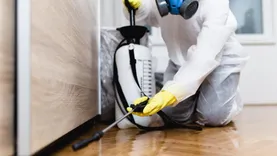 OZ Pest Control Canberra