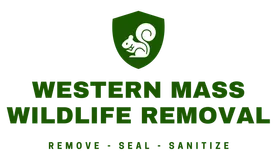 Western Mass Wildlife Removal