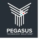 Pegasus Technology Solutions