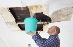 Water Damage Experts of Magic City