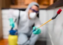 Old Mission Termite Removal Experts