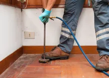 Great Cypress Termite Removal Experts
