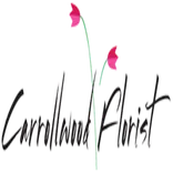 Carrollwood Florist