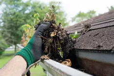 Knoxville Gutter Cleaners
