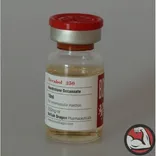 Best Steroids