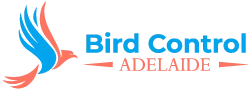 Bird Control Adelaide