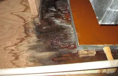 Water Damage Experts of Sandy Springs