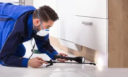 Pest Control Mount Martha