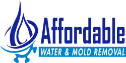 Affordable Water and Mold Removal