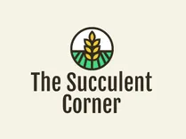 The Succulent Corner