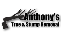 Anthony Thibodeaux