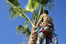 Prairieville Tree Service