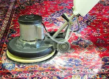 Rug Cleaning Adelaide