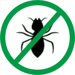 Termite Control Hobart