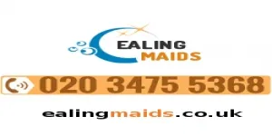 Professional Cleaners Ealing