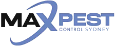 Max Pest Control Sydney