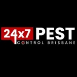 Cockroach Control Brisbane