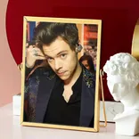 harrystylesmerch