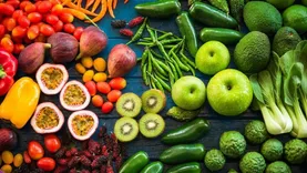 Gary Grossman Produce Distributors