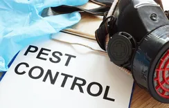 Bowie Pest Control Experts